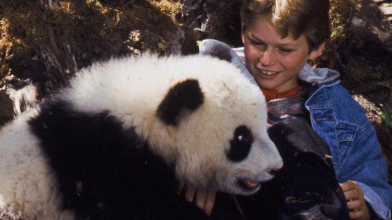 The Amazing Panda Adventure