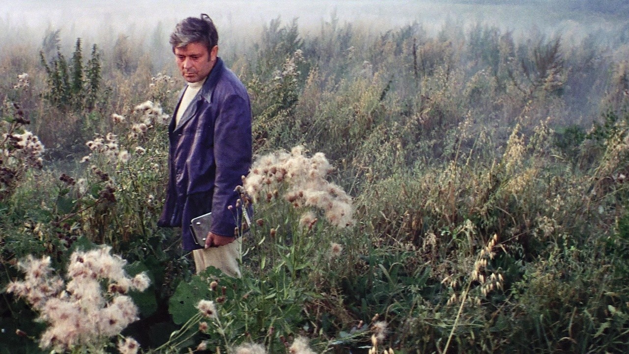 Image du film Solaris