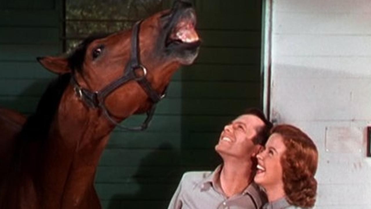 The Story of Seabiscuit