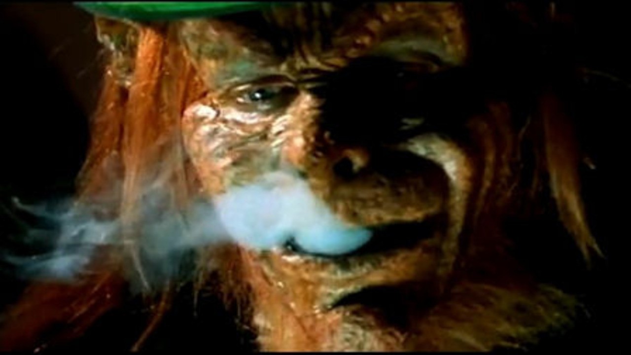 Leprechaun 5: In the Hood