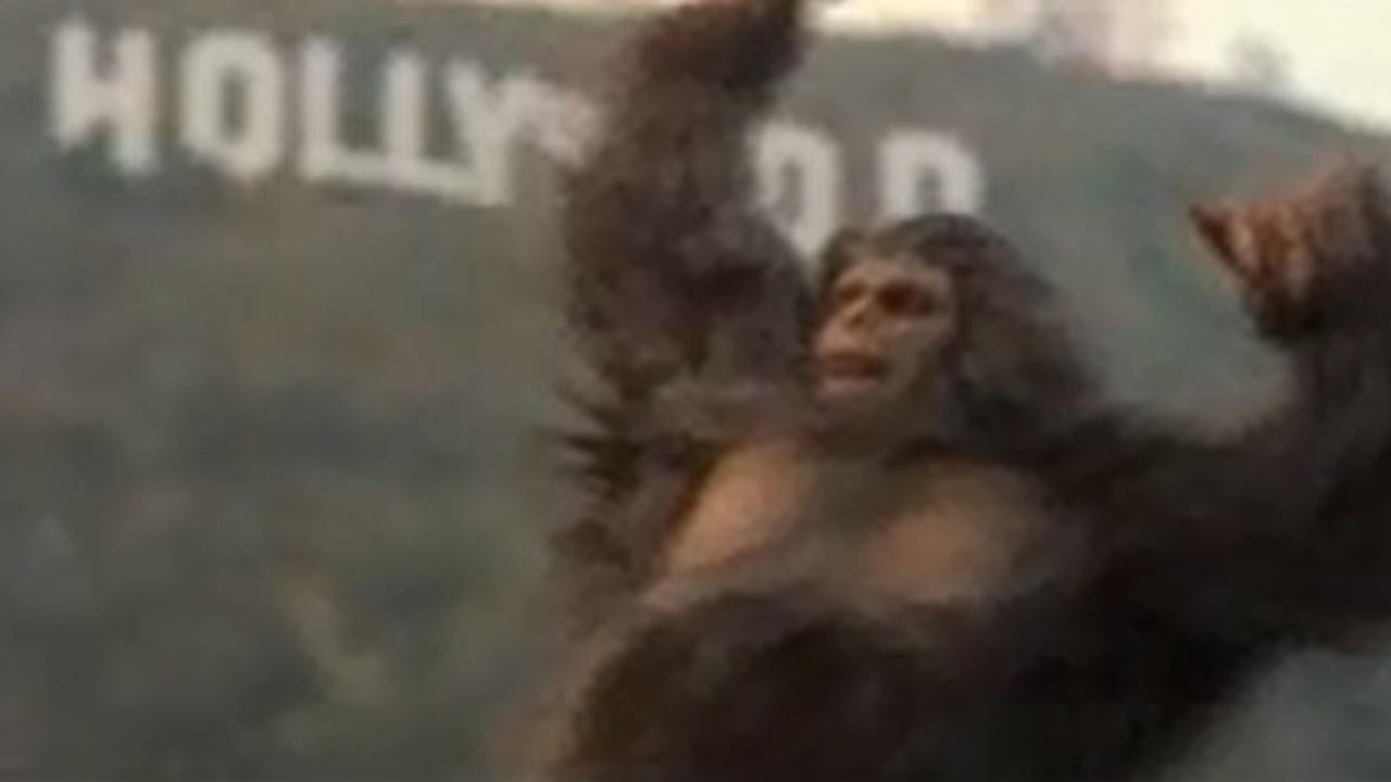 Love Hollywood Style