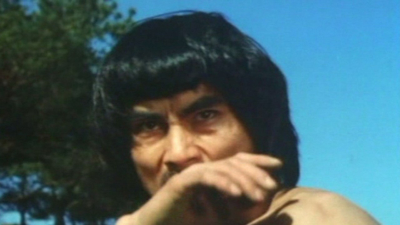 Leopard Fist Ninja