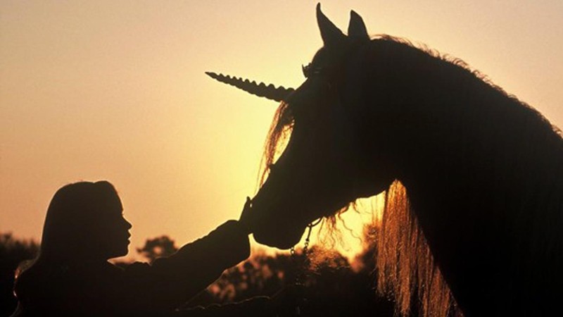 The Little Unicorn