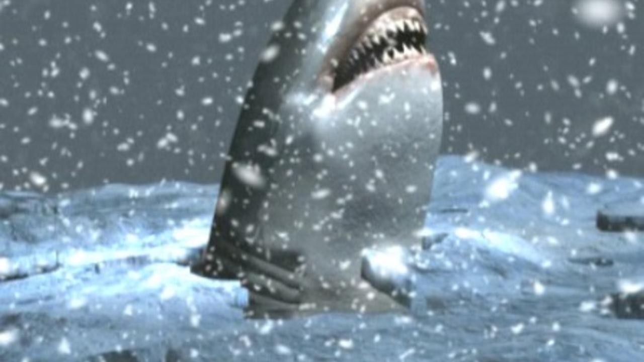 Megalodon