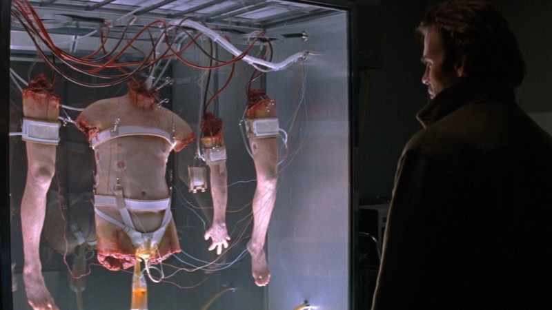 Body Parts