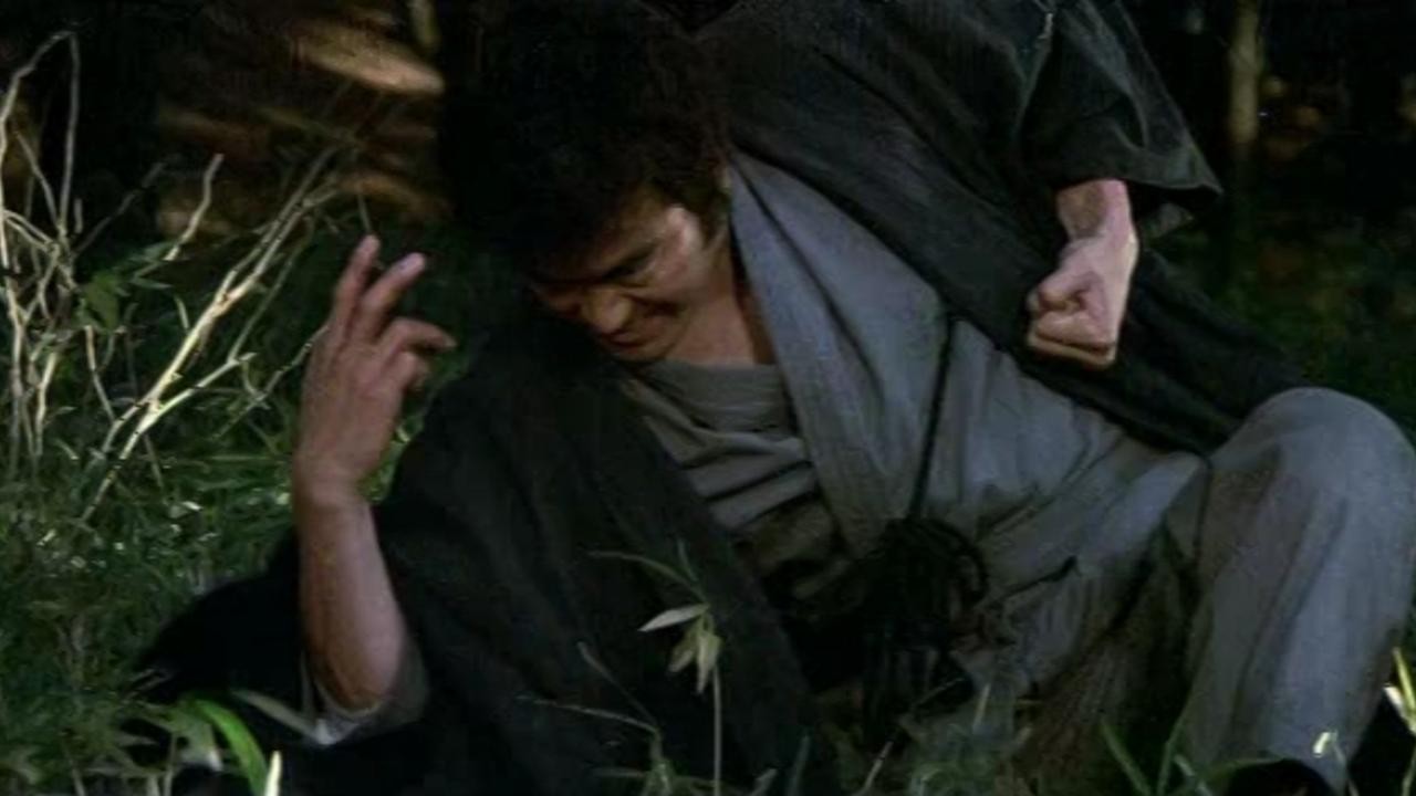 Karate Bear Fighter