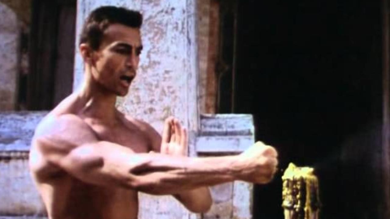 Bloodsport 2