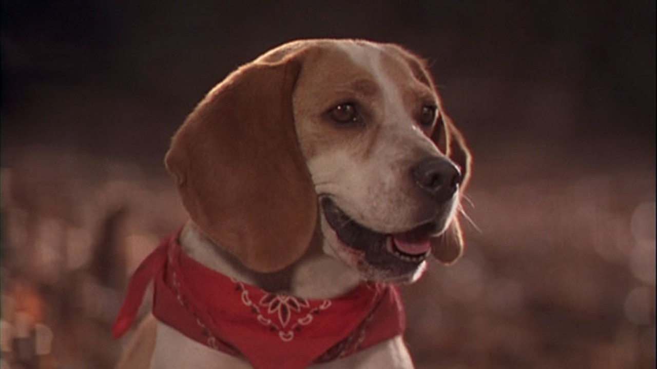 Rusty: The Great Rescue