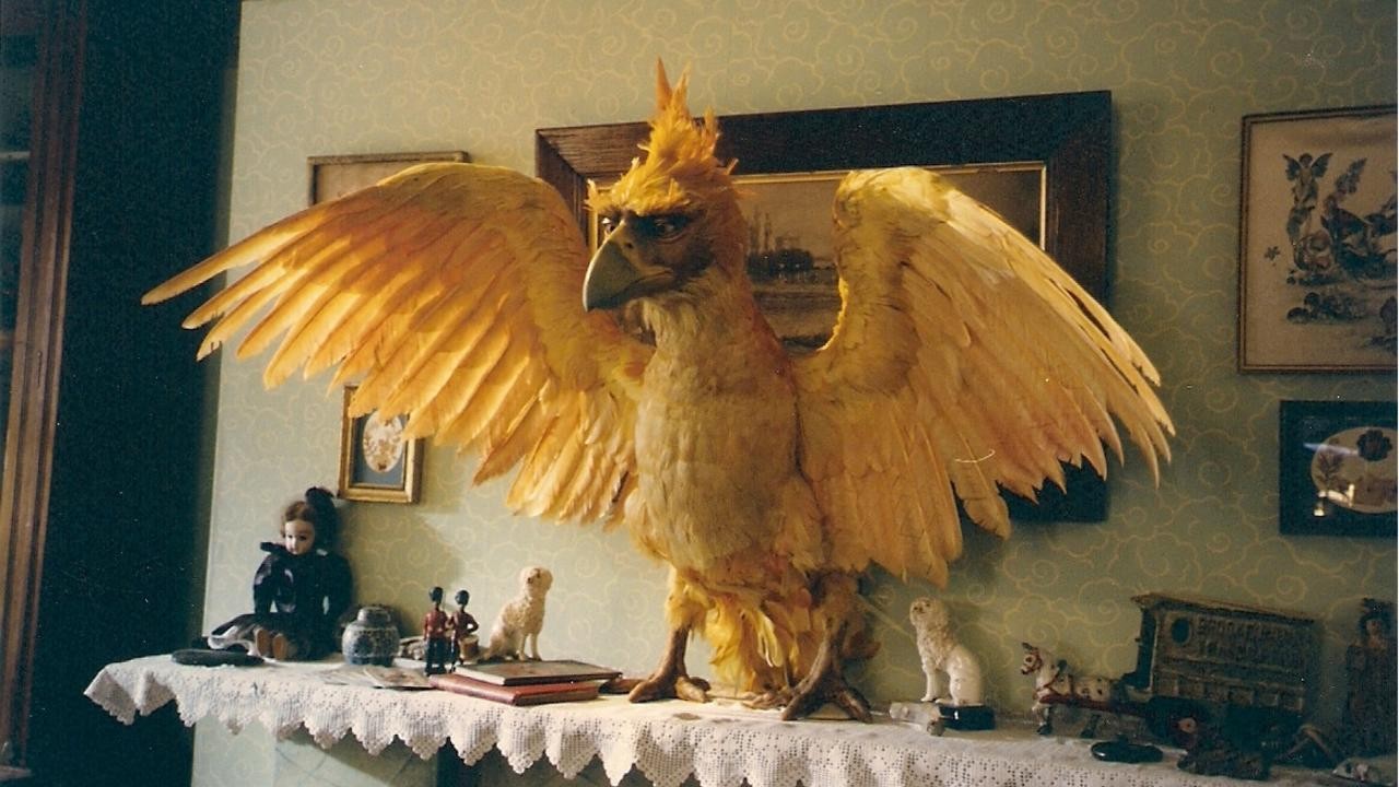 The Phoenix and the Carpet