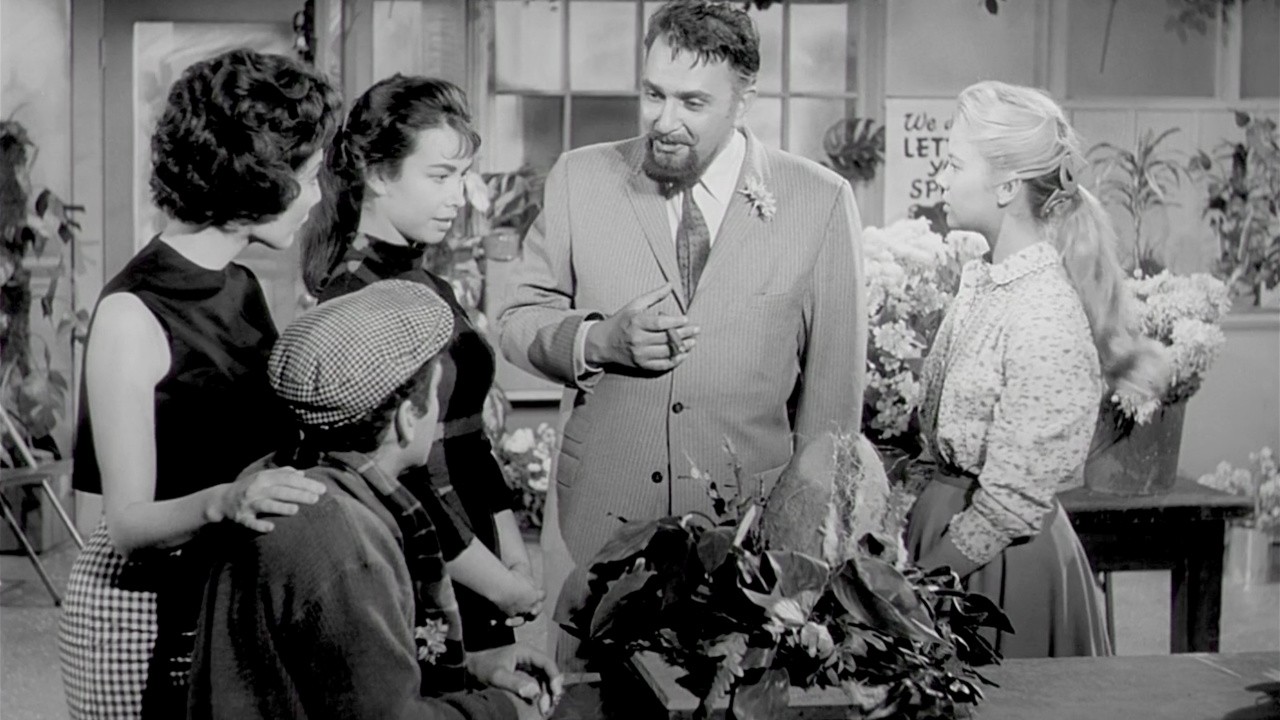 La petite boutique des horreurs
