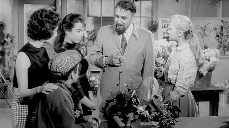 The Little Shop of Horrors