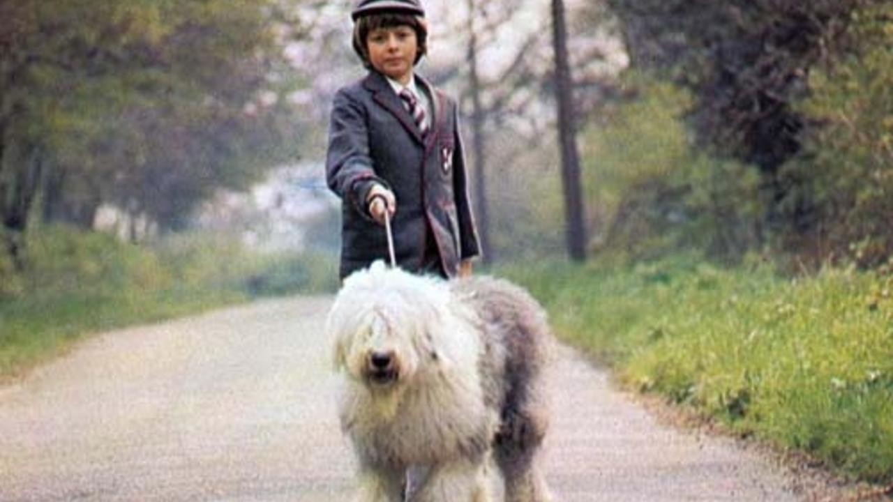 Digby, the Biggest Dog in the World
