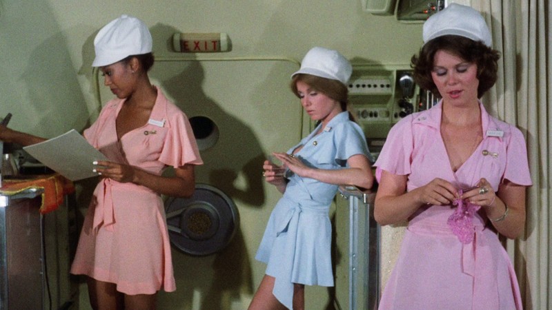 The Naughty Stewardesses