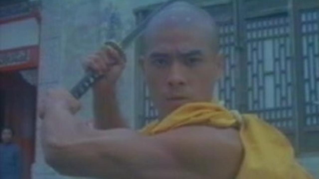 Shaolin vs. Ninja