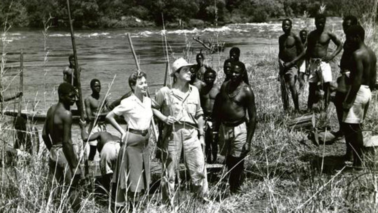 Duel in the Jungle