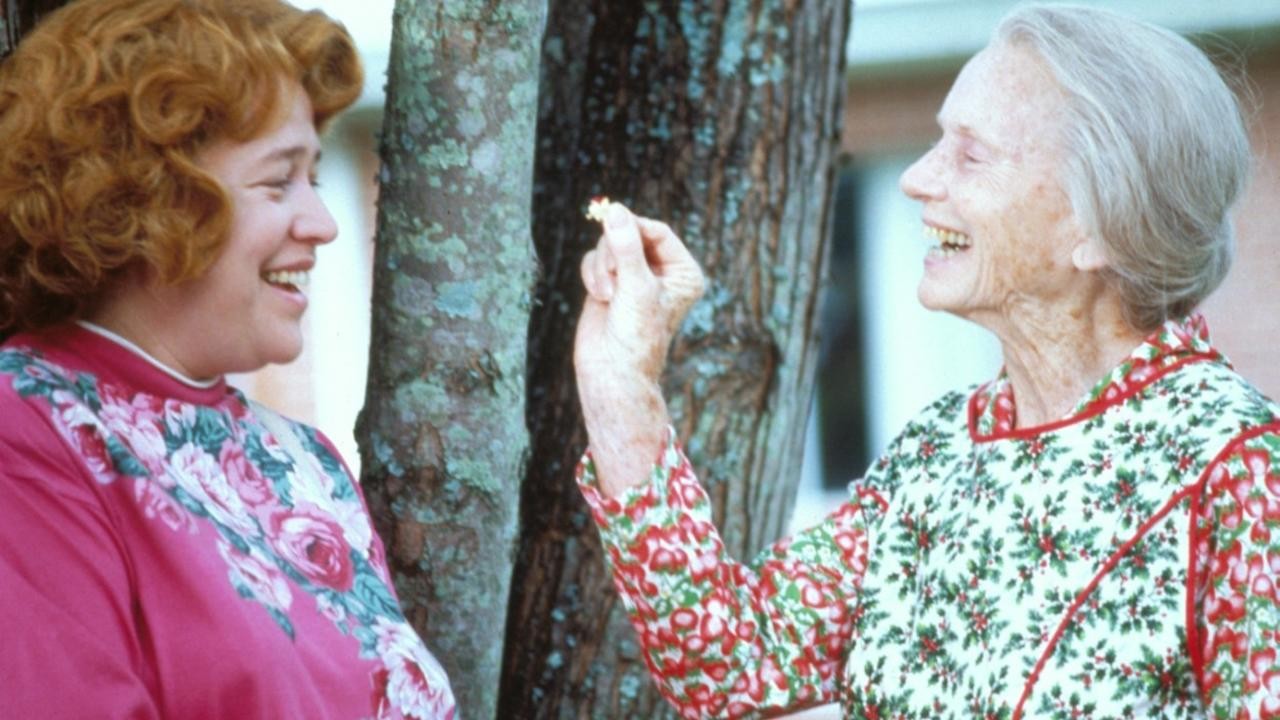 Fried Green Tomatoes