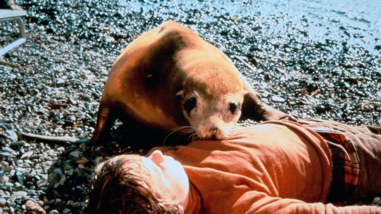The Golden Seal