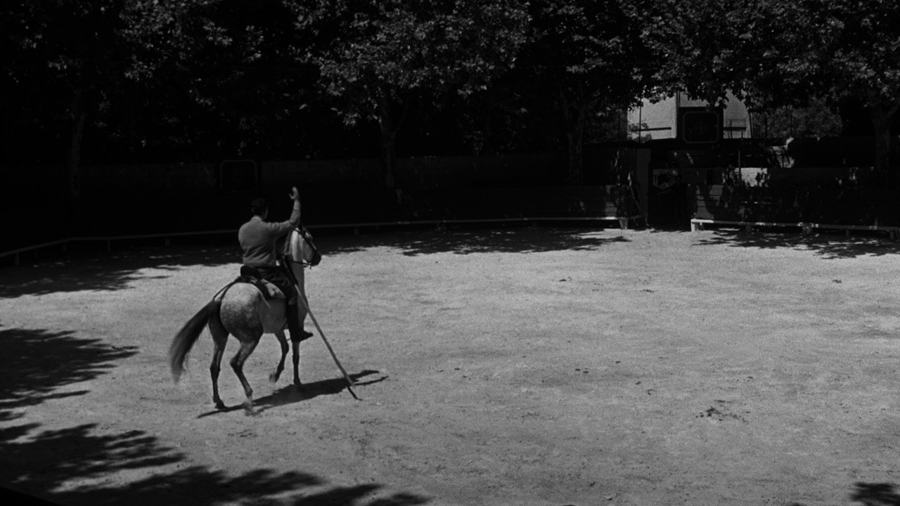 behold a pale horse 1964 trailer