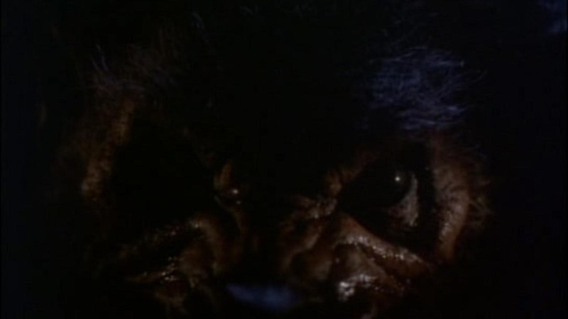 Howling V: The Rebirth