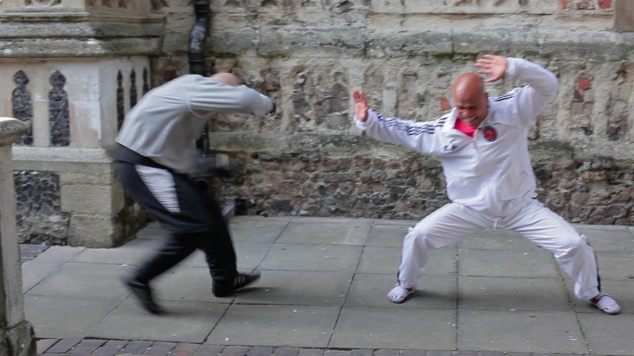 The Tai Chi Master