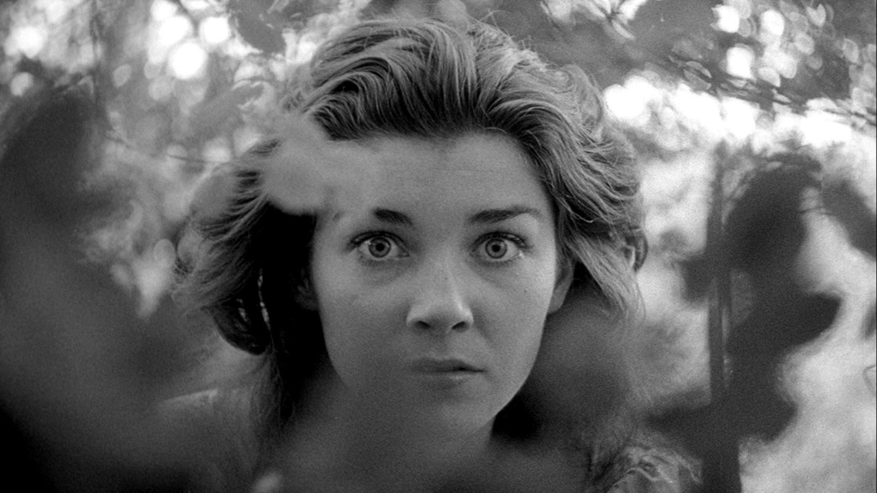 Image du film Fear and Desire