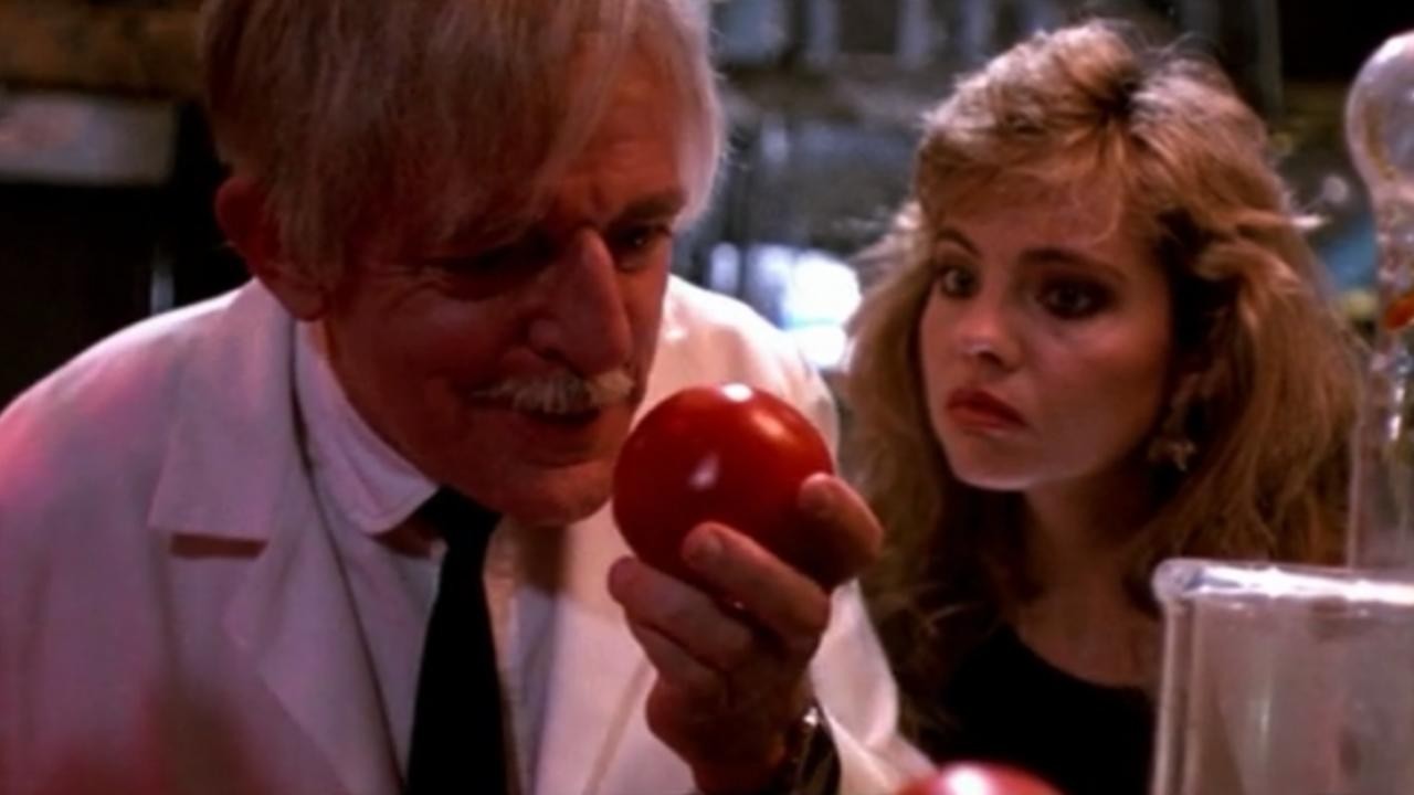 Killer Tomatoes Strike Back