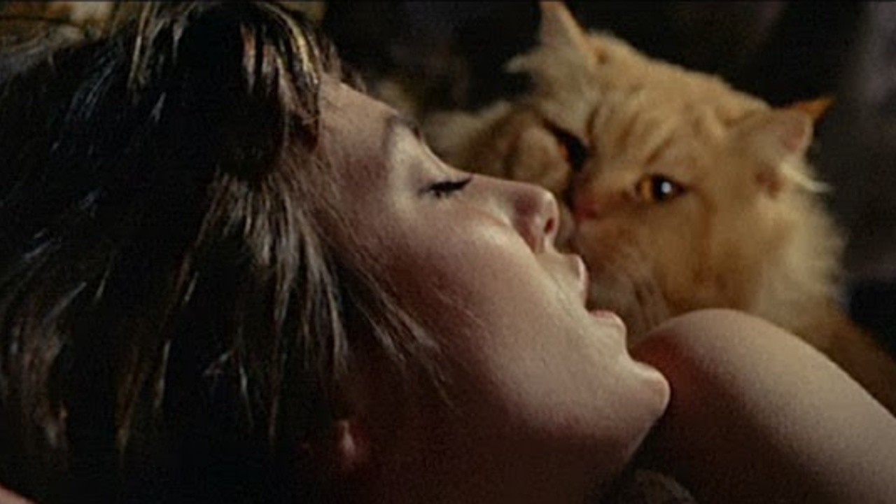 Seven Deaths in the Cat's Eye