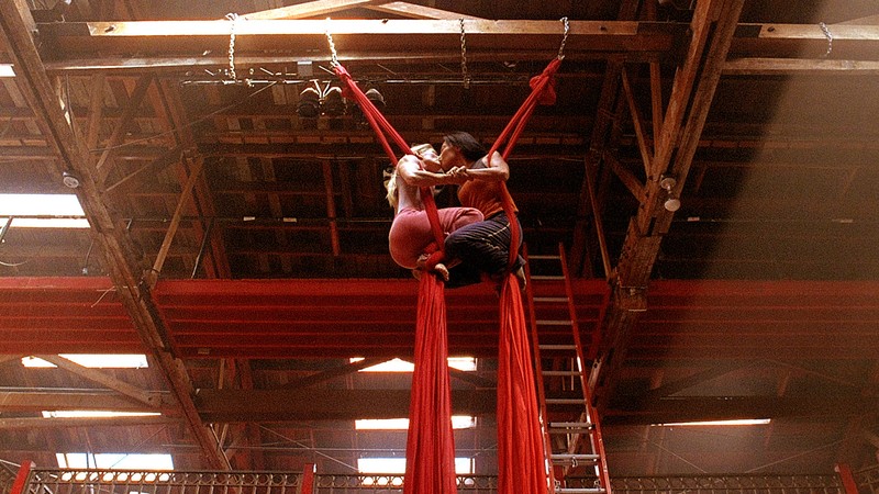 The Gymnast