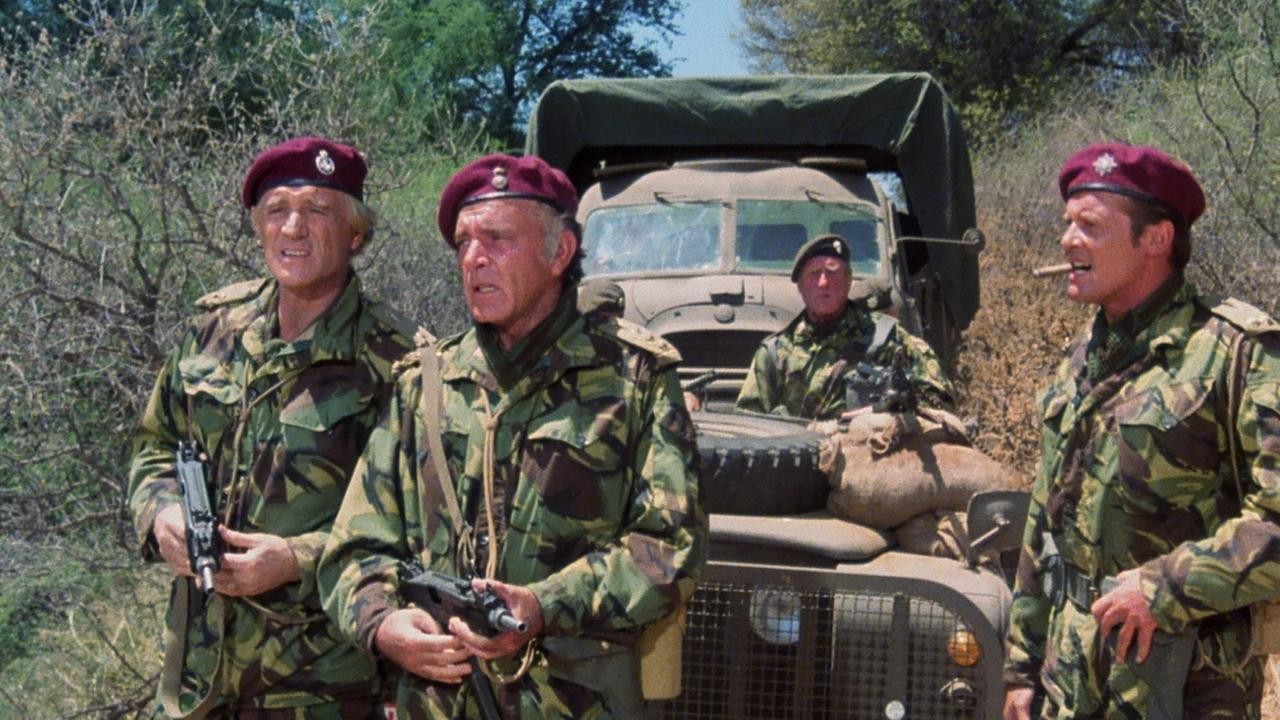 The Wild Geese