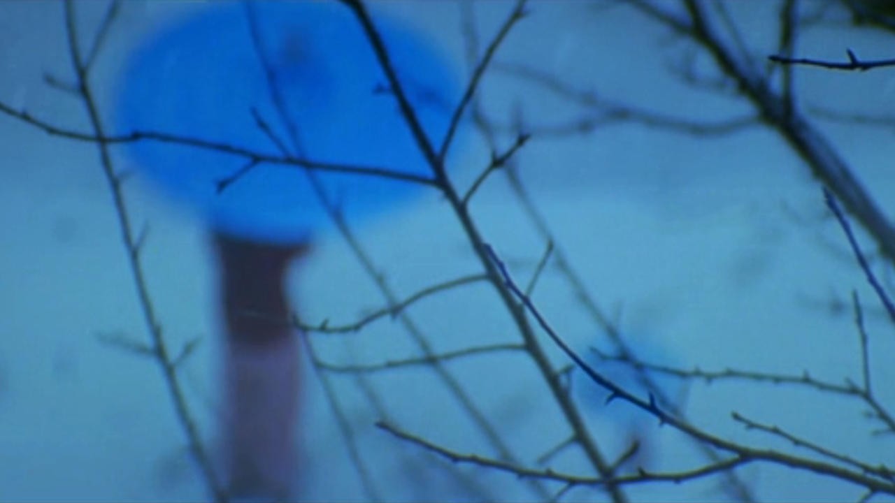 Blue Umbrella