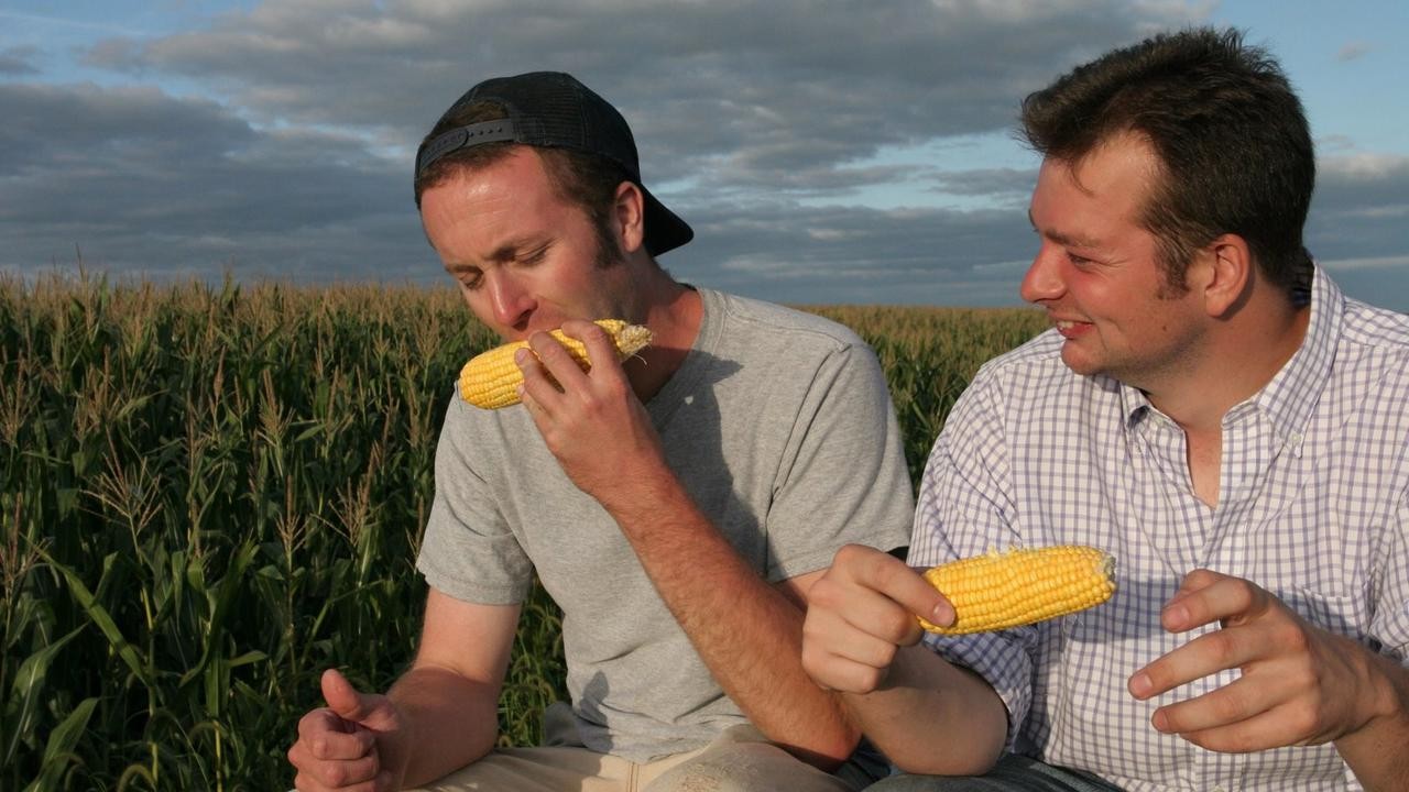 King Corn