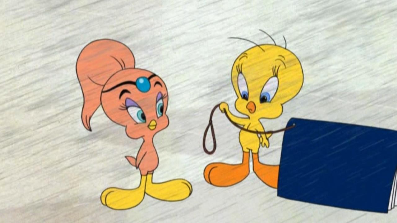 Tweety's High-Flying Adventure