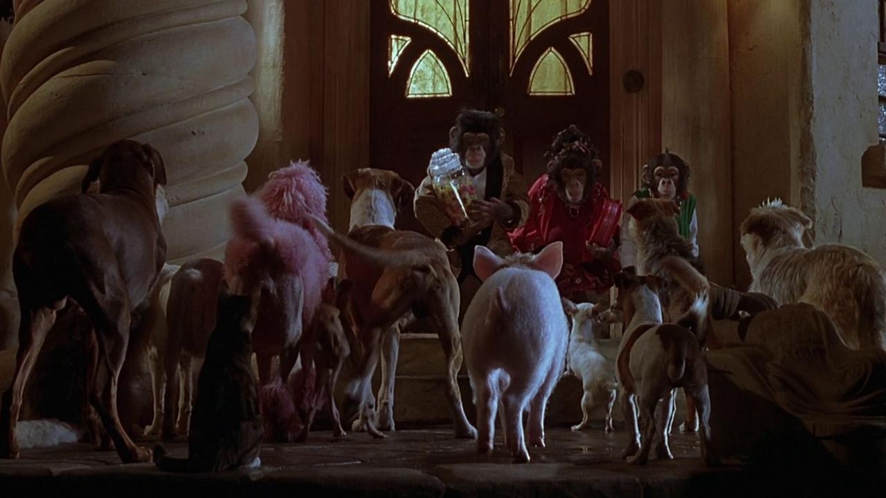 Image du film Babe, le cochon dans la ville