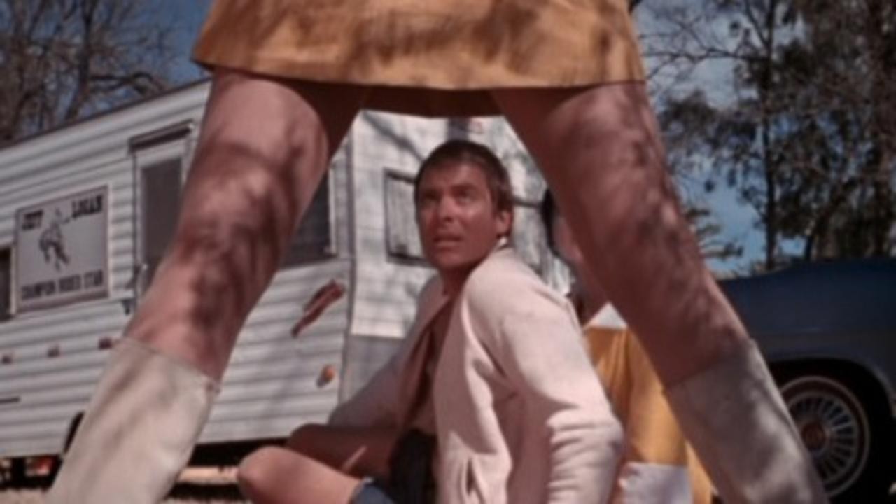 The Mini-Skirt Mob