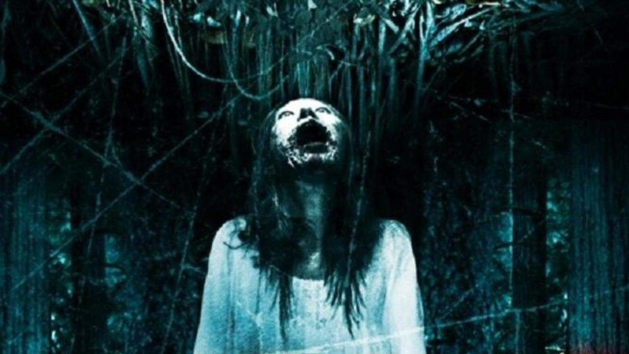 Haunted Forest