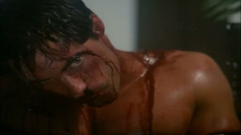 Kickboxer 4: The Aggressor