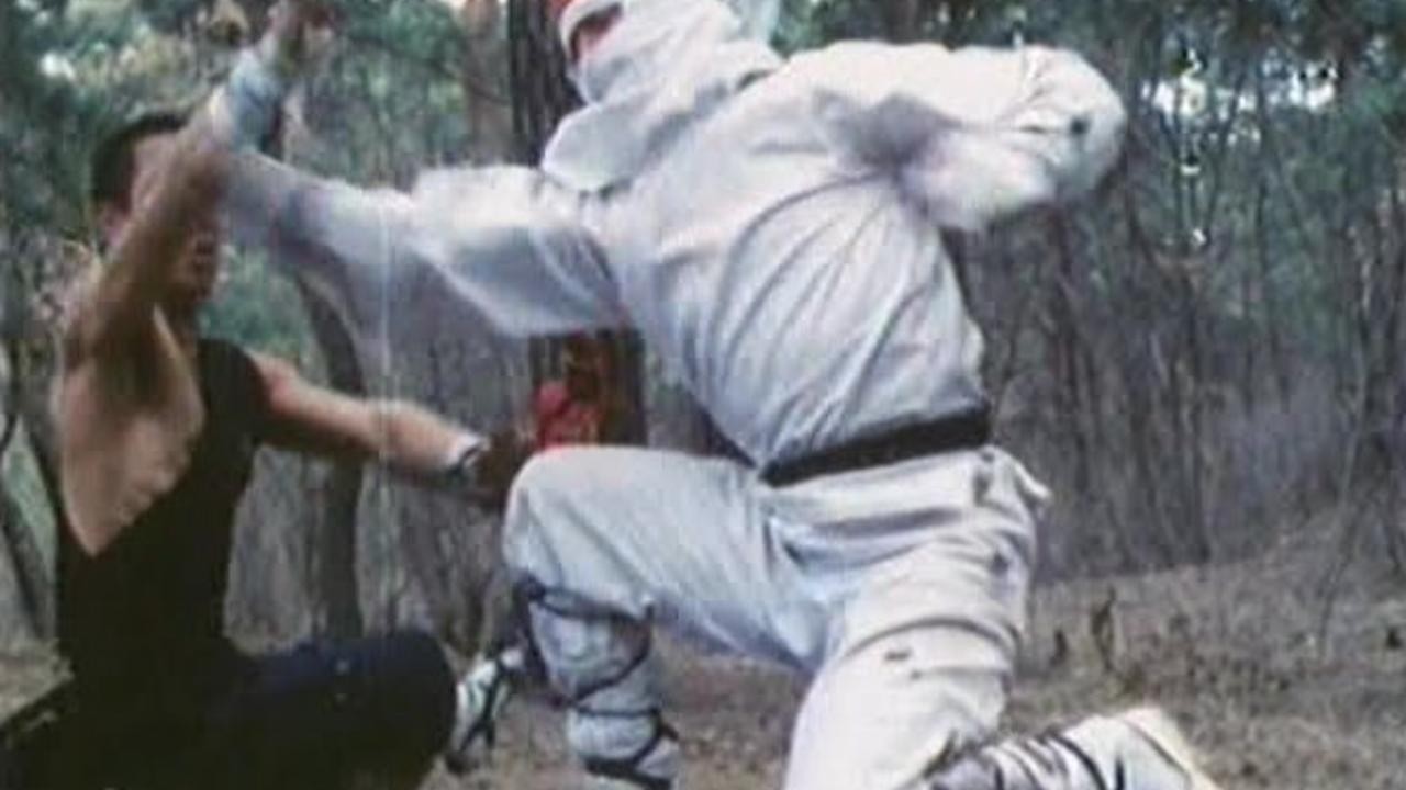 Ninja vs. Shaolin Guards
