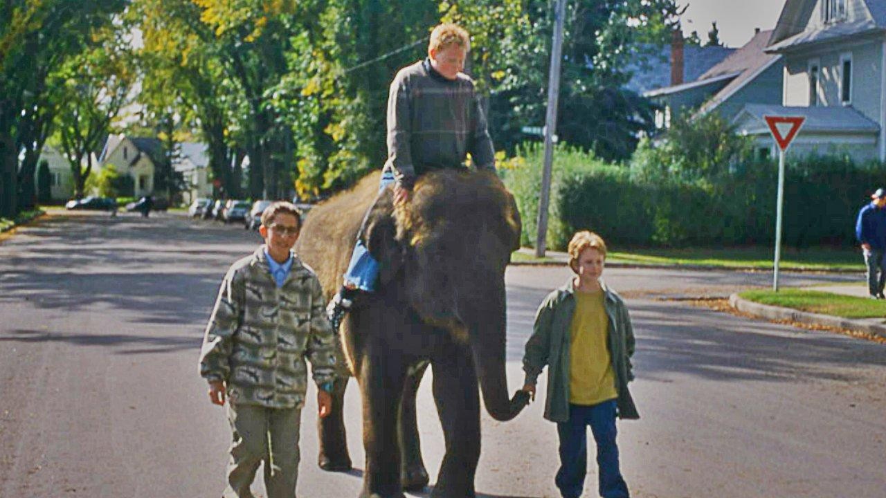 The Impossible Elephant