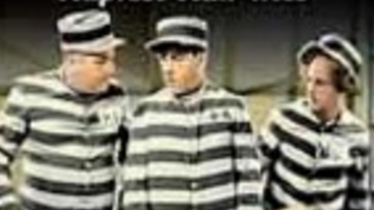 The Three Stooges: Hapless Half-Wits