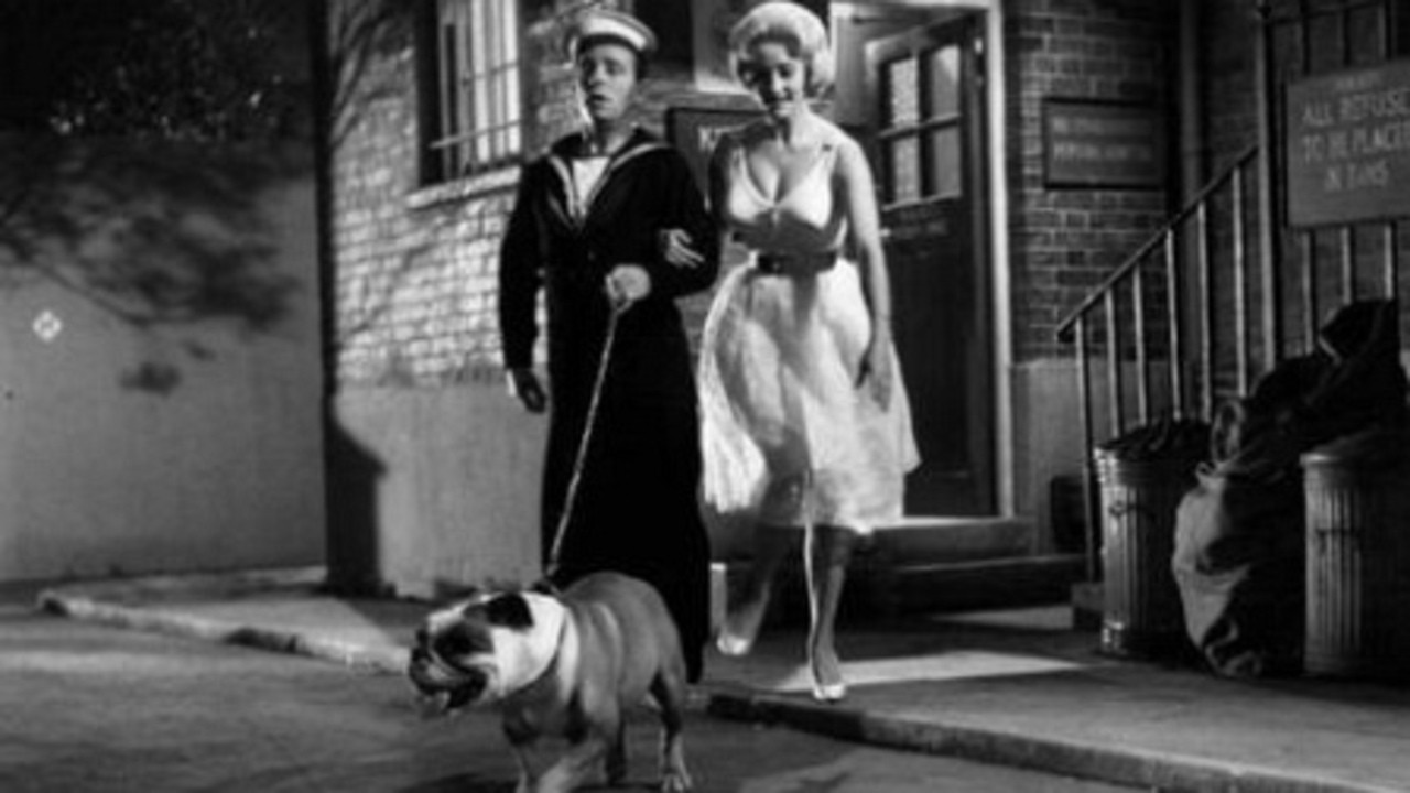 The Bulldog Breed