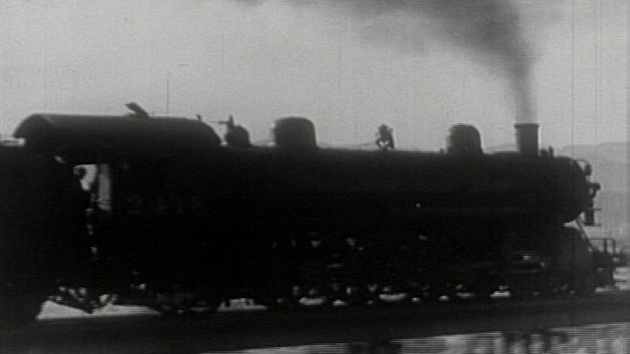 Paradise Express