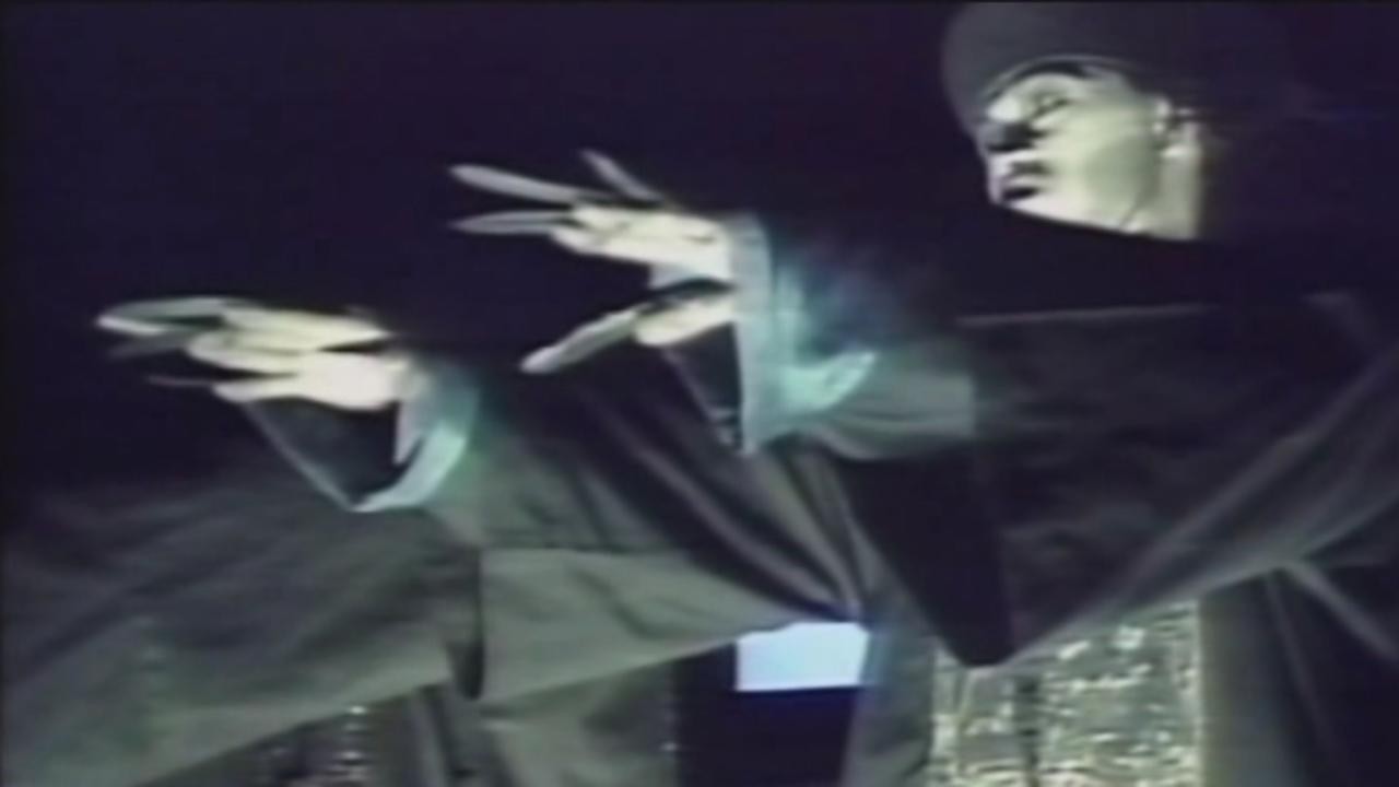 Shaolin vs. Vampire