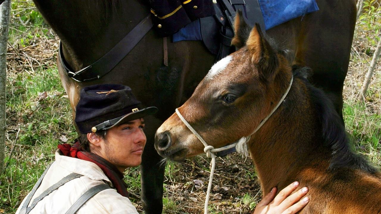 The Colt