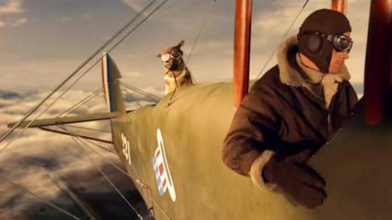 Finding Rin Tin Tin