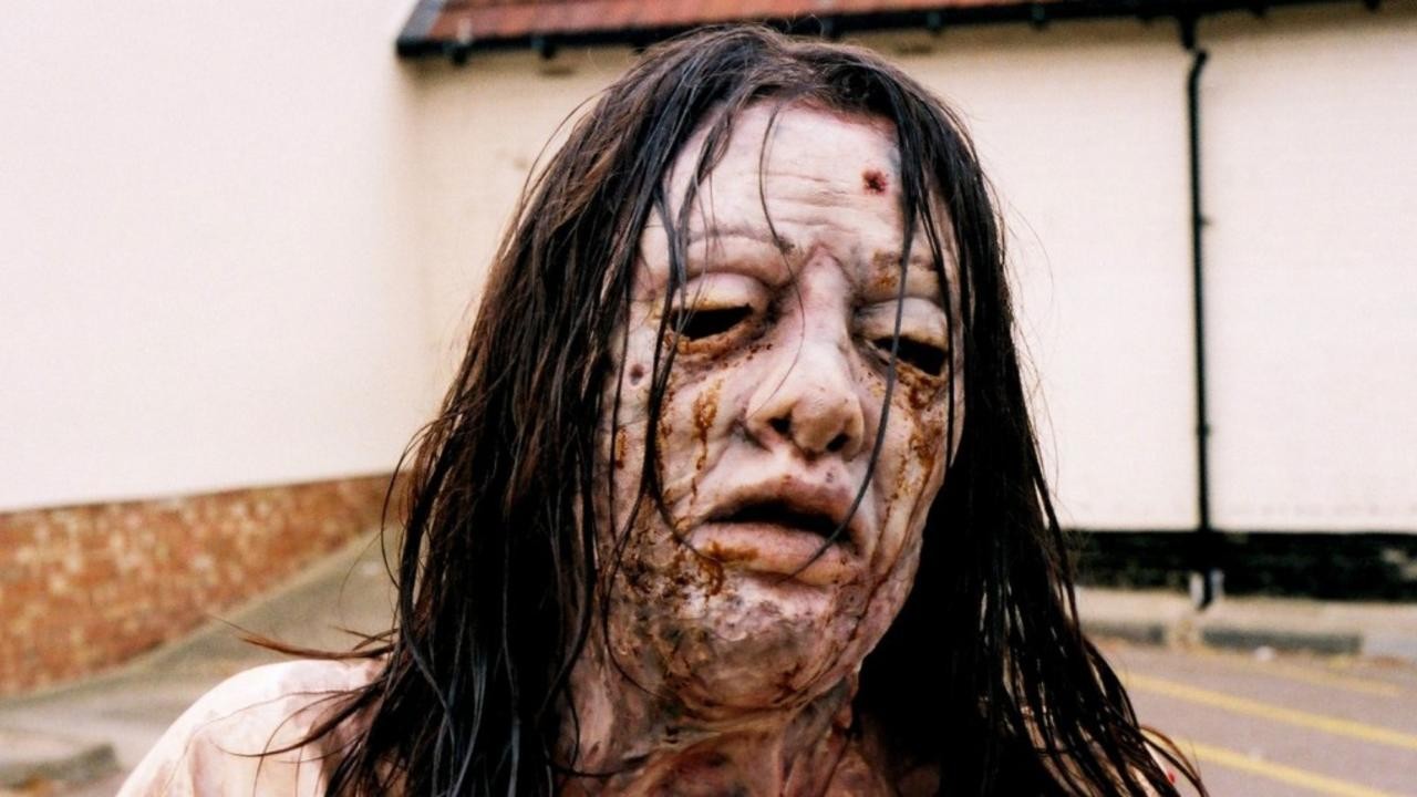 The Zombie Diaries