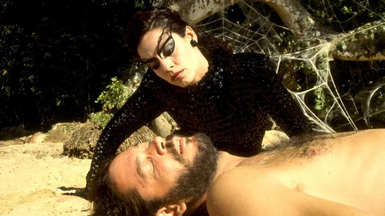 Image du film Le Baiser de la femme araignée