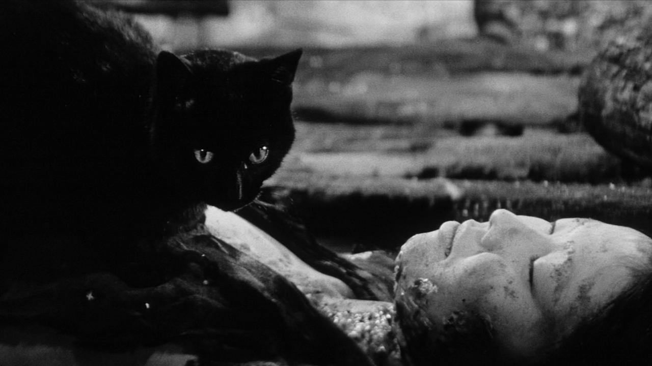 Image du film Kuroneko