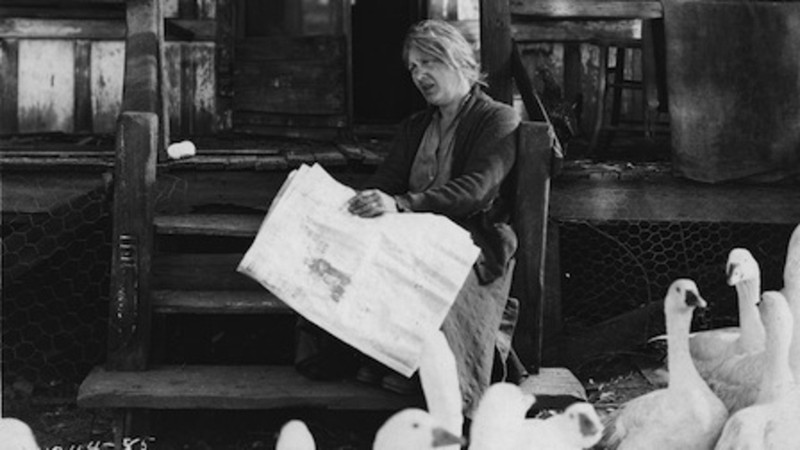 The Goose Woman