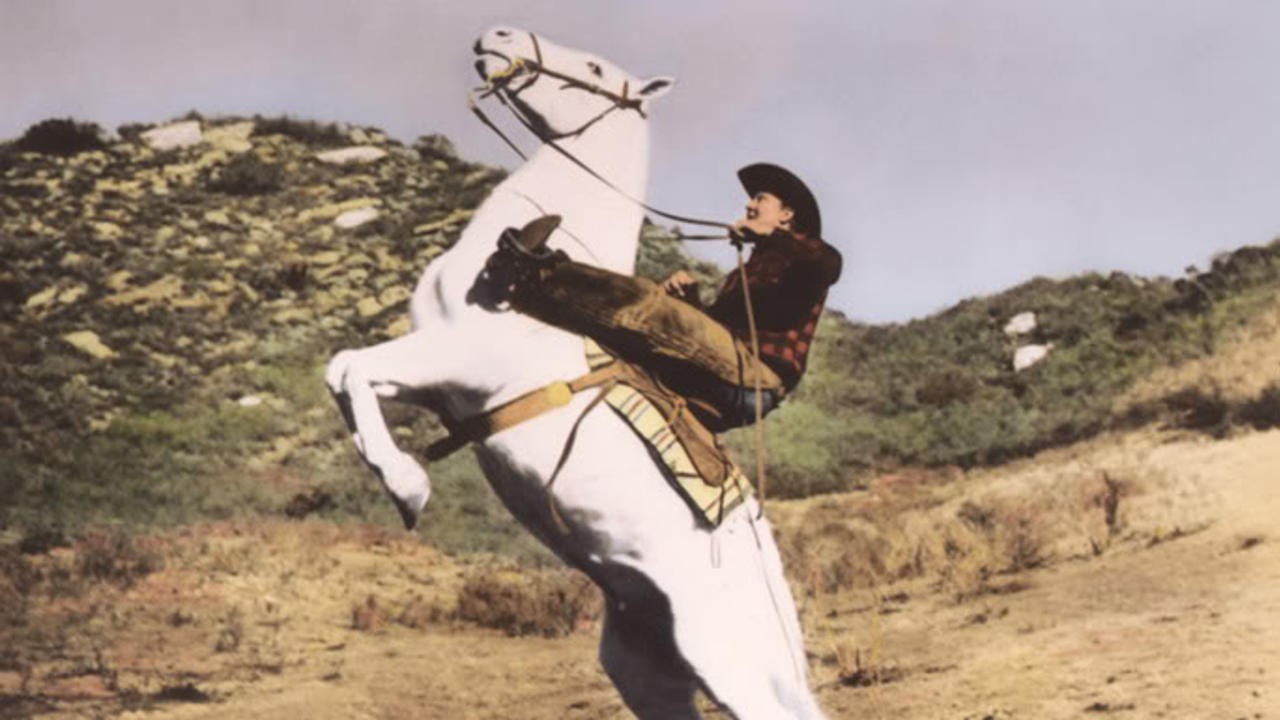 Wild Stallion