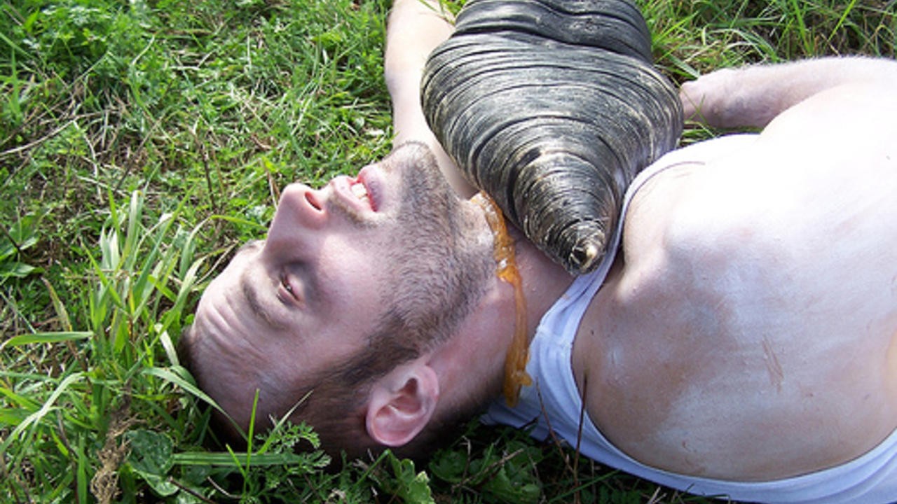 Attack of the Giant Leeches